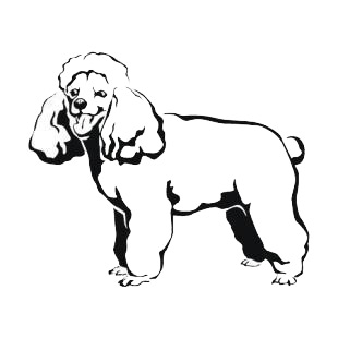 Poddle listed in dogs decals.