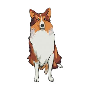 Collie listed in dogs decals.