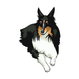 Collie listed in dogs decals.