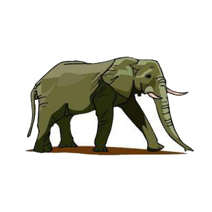 Elephant listed in african decals.