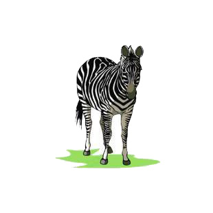 Zebra listed in african decals.