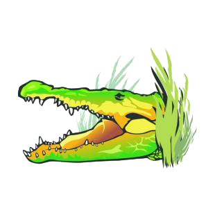 Alligator with mouth open listed in amphibians decals.