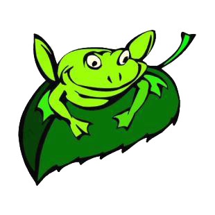 Frog on leaf listed in amphibians decals.