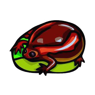 Red frog listed in amphibians decals.