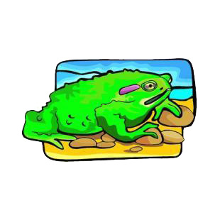 Green toad listed in amphibians decals.