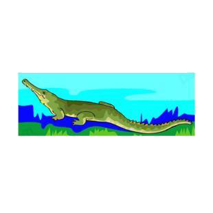 Alligator listed in reptiles decals.