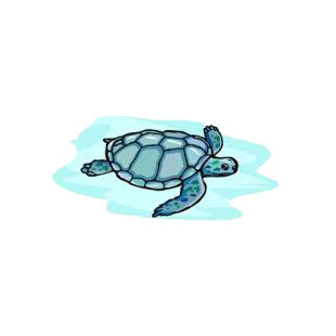 Turtle swimming listed in amphibians decals.