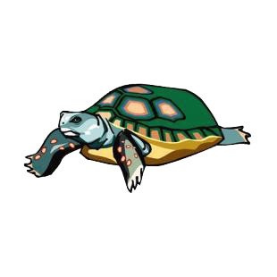 Turtle listed in amphibians decals.
