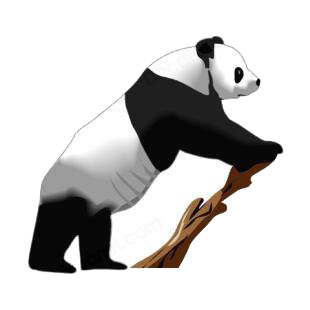 Panda listed in bears decals.