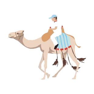 Men on a camel listed in camel decals.