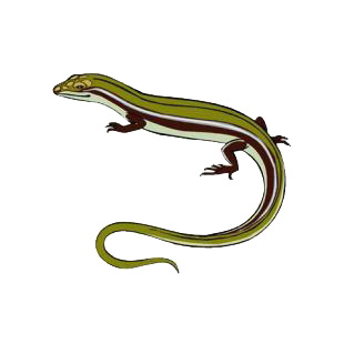 Skink listed in reptiles decals.