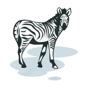 Zebra listed in horse decals.