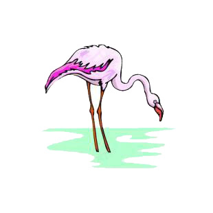 Flamingo listed in birds decals.