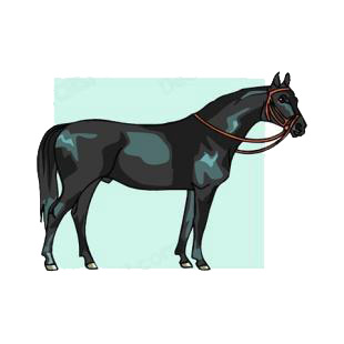 Black horse listed in horse decals.
