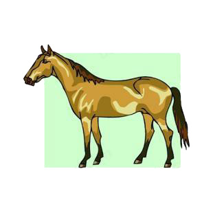 Horse listed in horse decals.