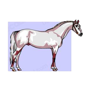 White horse listed in horse decals.