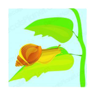 Snail on a leaf listed in insects decals.