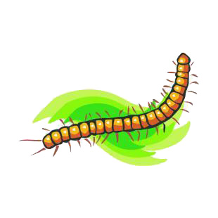 Centipede listed in insects decals.