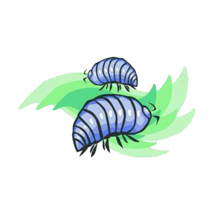 Roly poly listed in insects decals.
