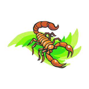 Scorpion listed in insects decals.