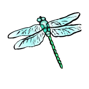 Dragonfly listed in insects decals.