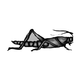 Cricket listed in insects decals.
