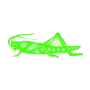 Grasshopper listed in insects decals.