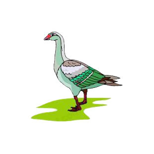 Goose listed in birds decals.