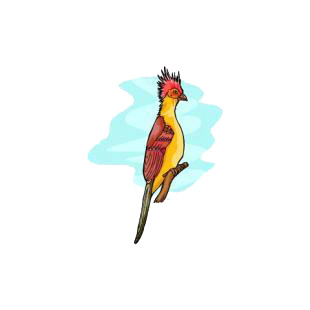 Hoatzin listed in birds decals.
