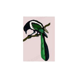 Magpie on a twig listed in birds decals.