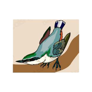 Nuthatch listed in birds decals.