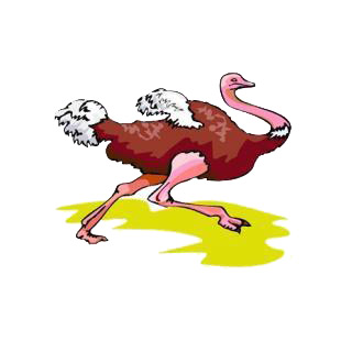 Ostrich running listed in birds decals.