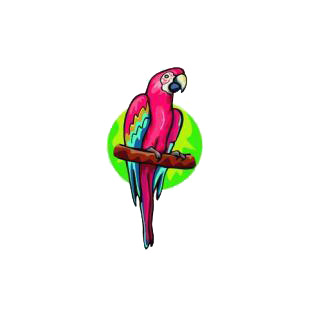 Parrot on a twig listed in birds decals.