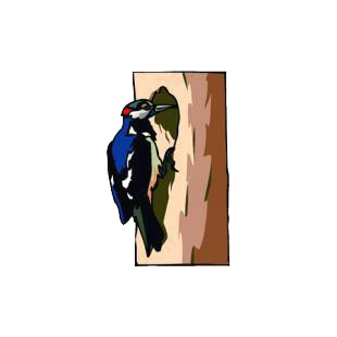 Wood pecker listed in birds decals.