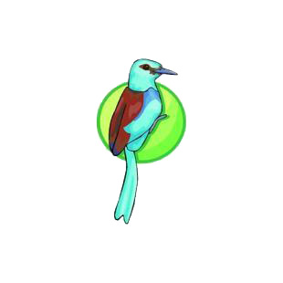 Roller listed in birds decals.