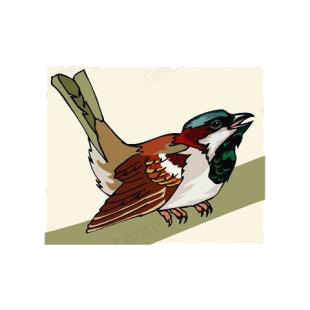 Sparrow perched listed in birds decals.