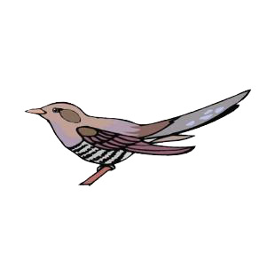 Sparrow  listed in birds decals.