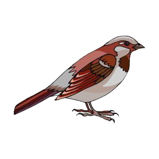 Sparrow listed in birds decals.