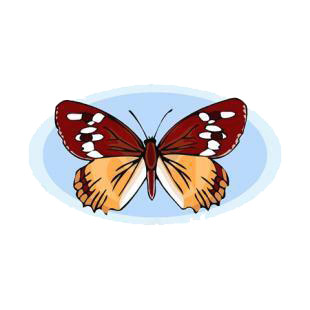 Butterfly listed in butterflies decals.