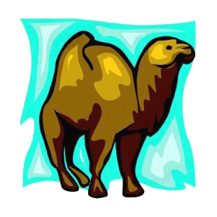 Camel listed in camel decals.
