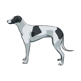 Greyhound listed in dogs decals.