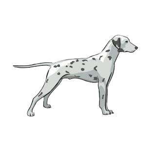 Dalmatian listed in dogs decals.