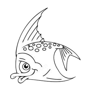 Shy angelfish listed in fish decals.