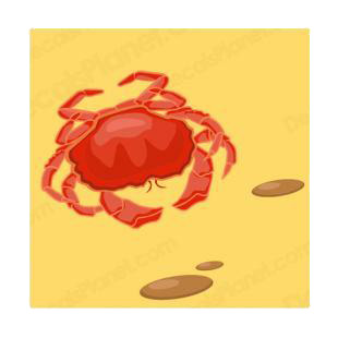 Crab walking on sand listed in fish decals.