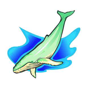 Blue whale listed in fish decals.