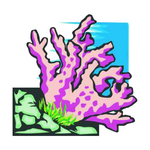 Coral listed in fish decals.