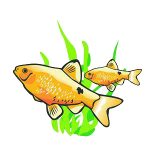 Goldfishes near seaweed listed in fish decals.