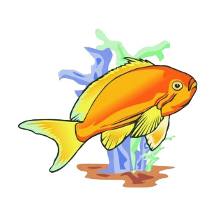 Underwater goldfish listed in fish decals.