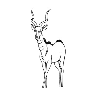 Gazelle listed in more animals decals.
