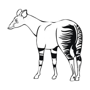Baby zebra listed in more animals decals.